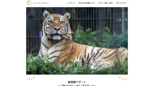 ZOOTOMOのWA基金 様のホームページ制作実績